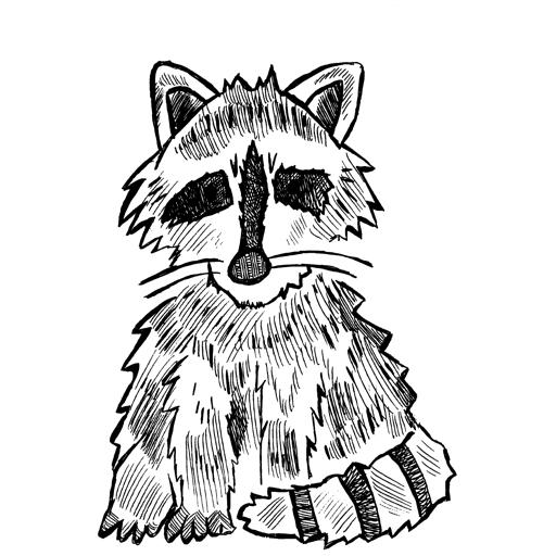 The Rambunctious Racoon of the  Misty Barrens thumbnail