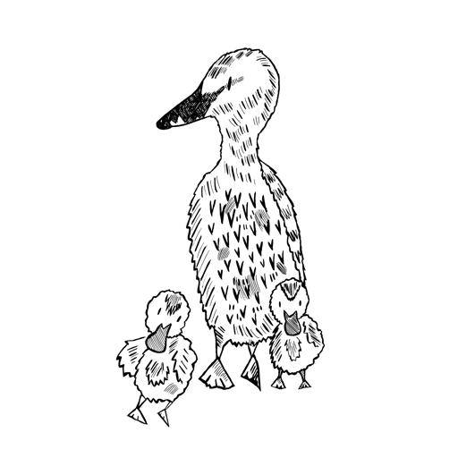 The Unfamiliar Waddlings of the Paddlefeather Family thumbnail