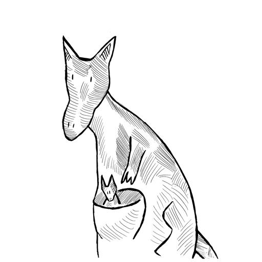 The Wayfaring Kangaroos thumbnail